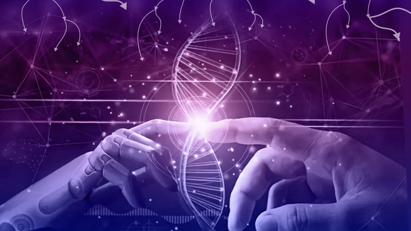 医疗影像AI诊断系统：揭秘报价背后的技术考量